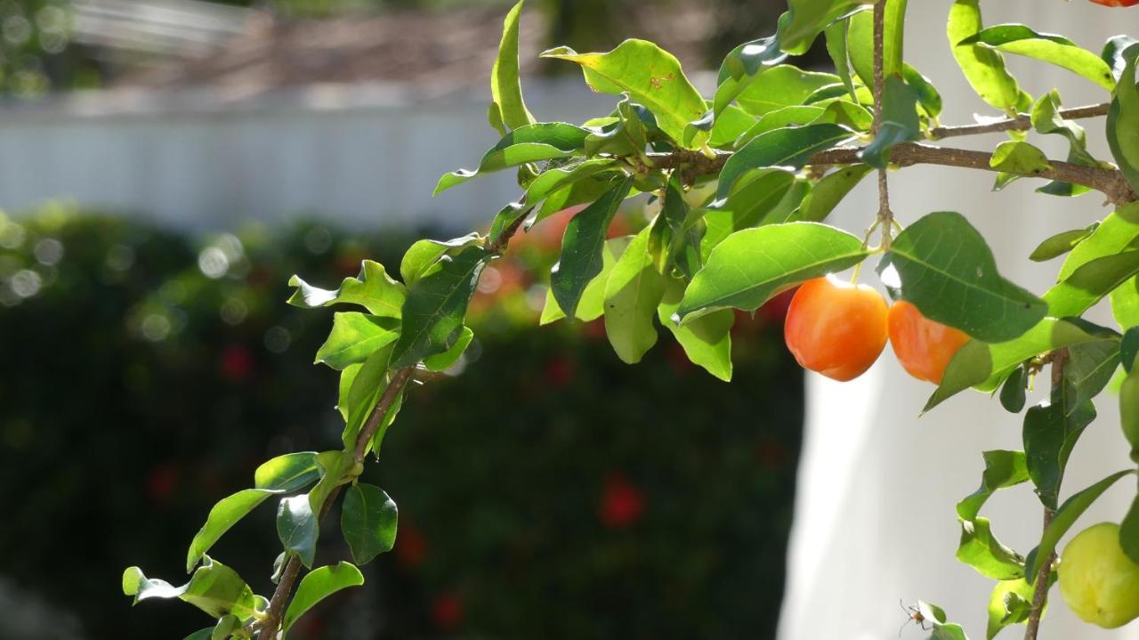 Estrela Azul Guest House Buzios Εξωτερικό φωτογραφία